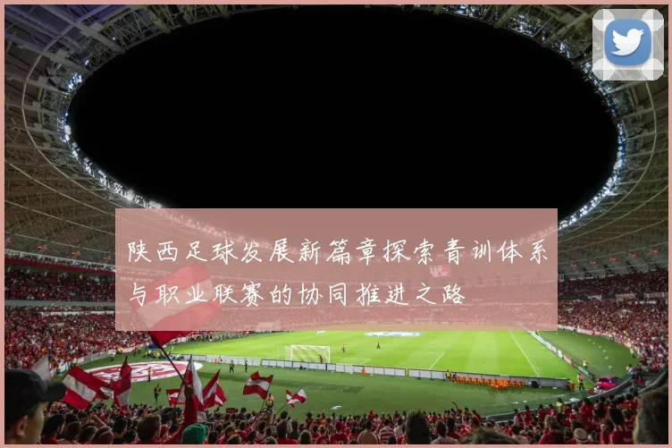 陕西足球发展新篇章探索青训体系与职业联赛的协同推进之路