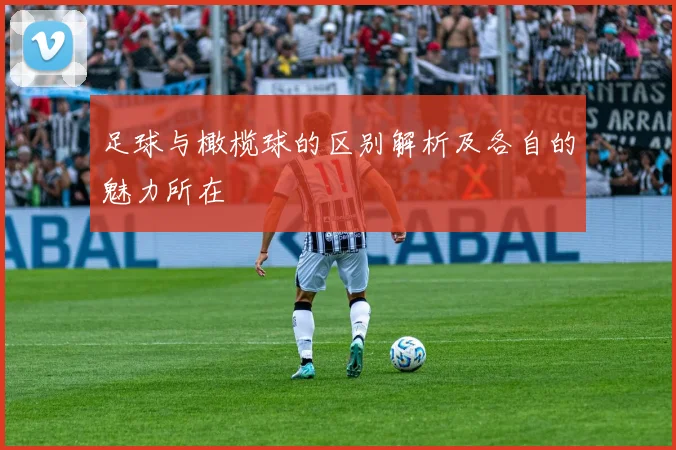 足球与橄榄球的区别解析及各自的魅力所在