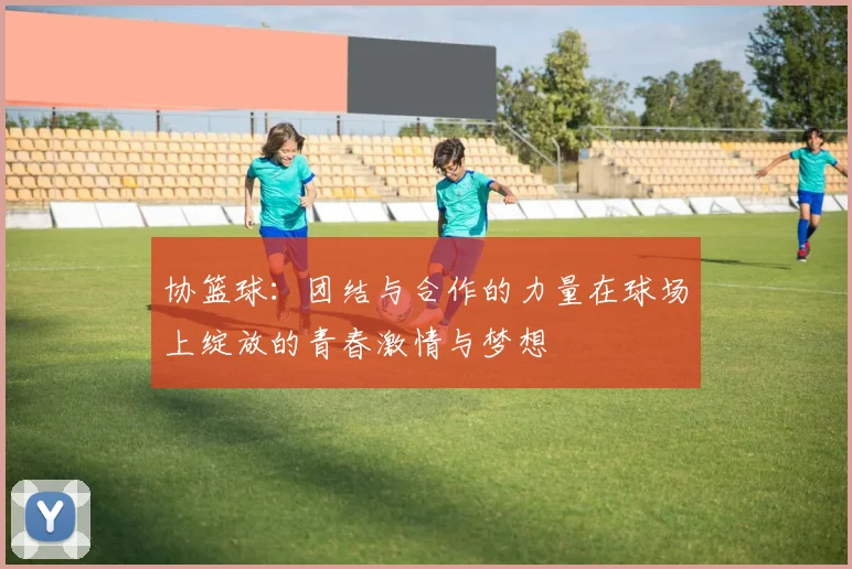 协篮球：团结与合作的力量在球场上绽放的青春激情与梦想