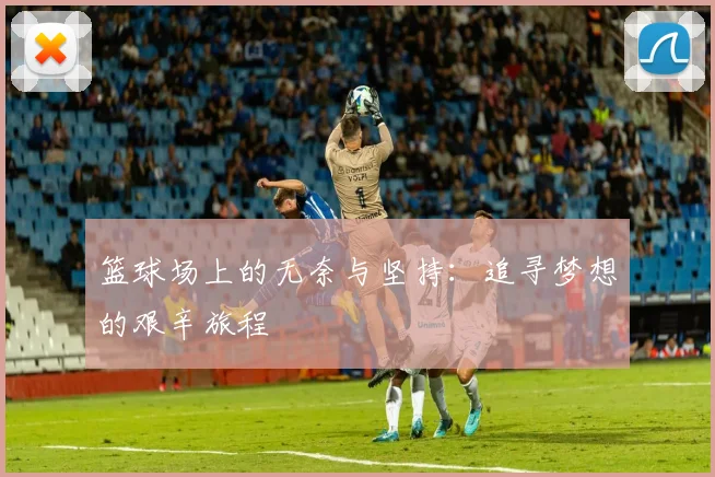 篮球场上的无奈与坚持：追寻梦想的艰辛旅程