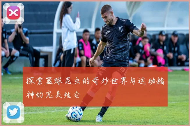 探索篮球昆虫的奇妙世界与运动精神的完美结合