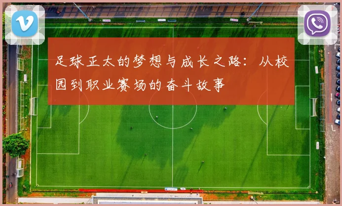 足球正太的梦想与成长之路：从校园到职业赛场的奋斗故事