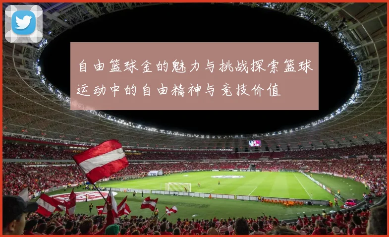自由篮球金的魅力与挑战探索篮球运动中的自由精神与竞技价值