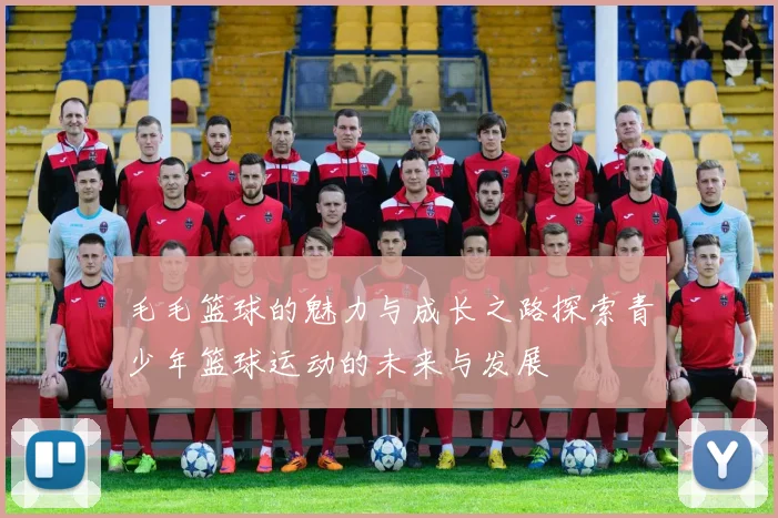 毛毛篮球的魅力与成长之路探索青少年篮球运动的未来与发展