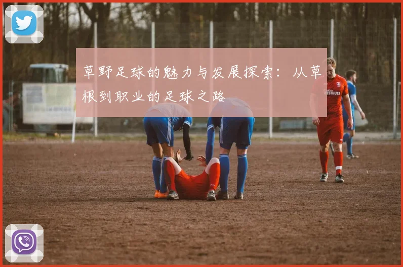 草野足球的魅力与发展探索：从草根到职业的足球之路