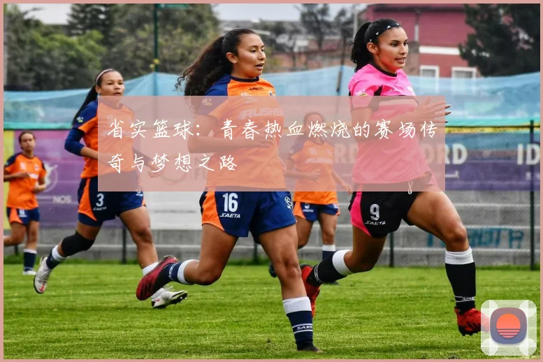 省实篮球：青春热血燃烧的赛场传奇与梦想之路