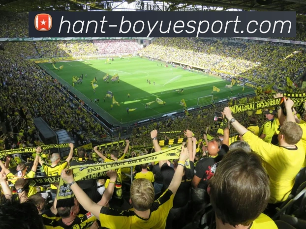 博鱼体育APP 高清赛事图